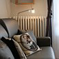 Studio Annecy
