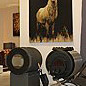 showroom_de_cheminees_albertville_2011
